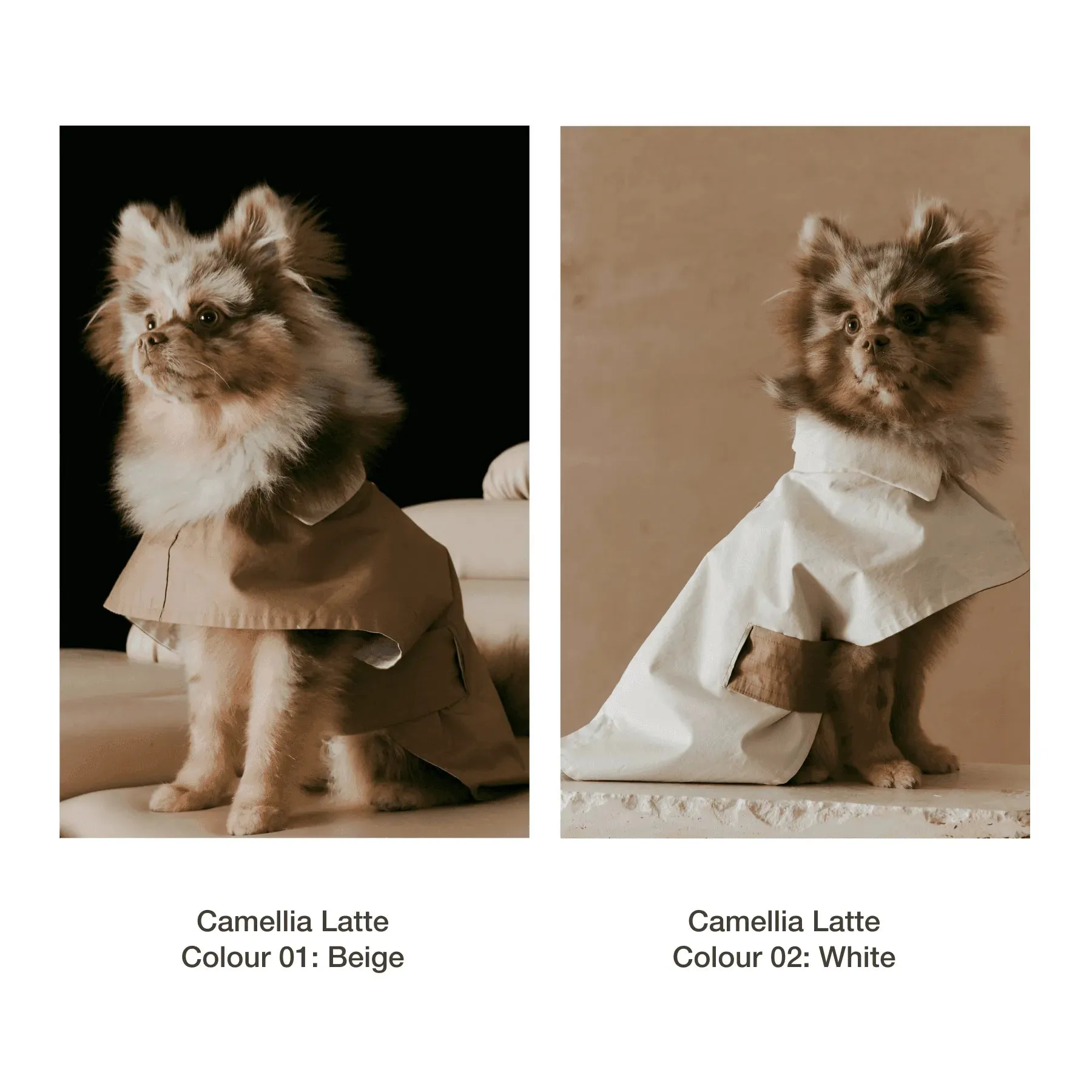 Dual-Coloured Reversible Dog Windbreaker