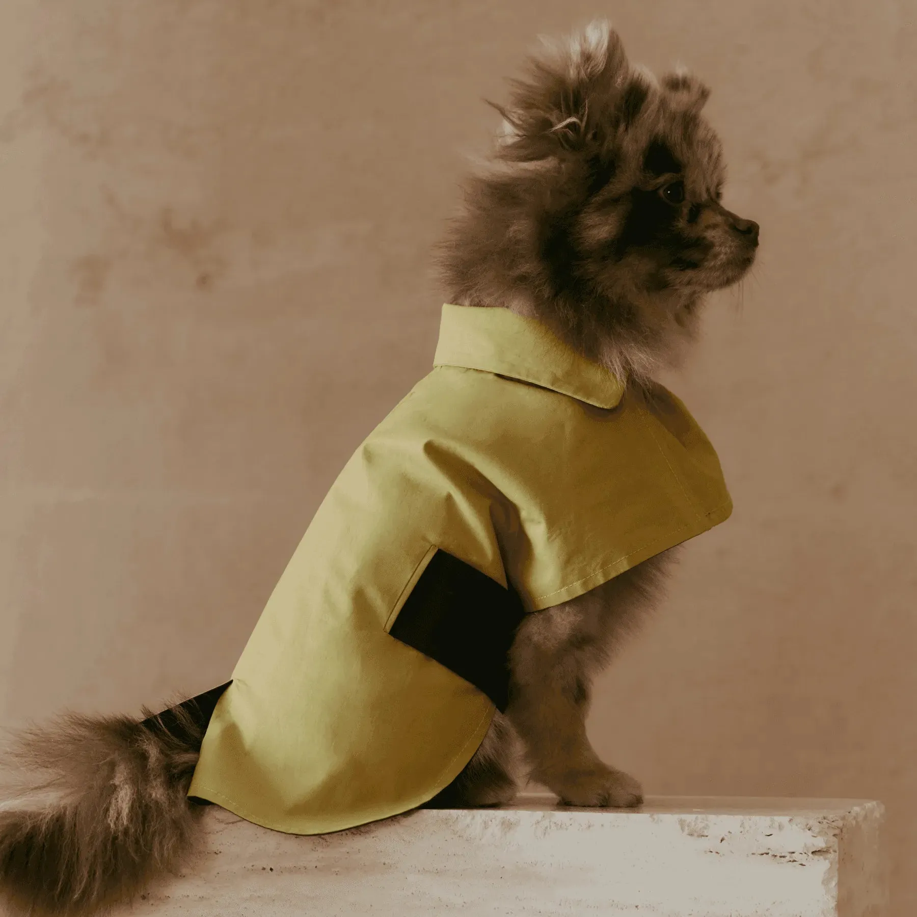 Dual-Coloured Reversible Dog Windbreaker