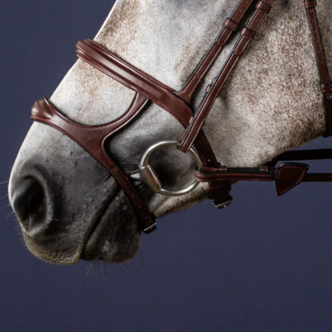 Dy'on Double Jumper Noseband