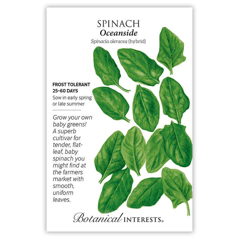 Oceanside Spinach Seeds